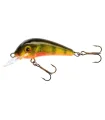 Jaxon Wobbler HS Senso