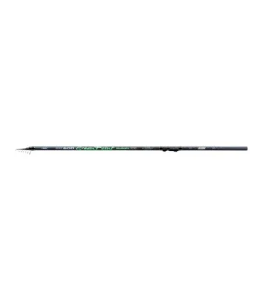 Jaxon Green Point Bolognese XTR