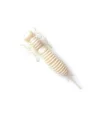 Fanatik Larva 1.6" 10db/csomag